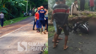 Seorang Pengendara Tewas Akibat Tertimpa Pohon Tumbang di Cikaret Sukabumi