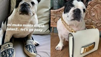 Anjing Peliharaan Keluarga Mario Dandy Pakai Sepatu Dior, Netizen Kuliti Kekayaan Rafael Alun Trisambodo