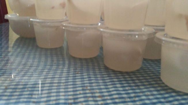 Resep Mudah Membuat Puding Kelapa