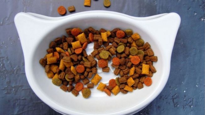 Berita Buruk! Harga Pet Food Naik, Netizen: Nggak Sanggup Kalau Emang Naik