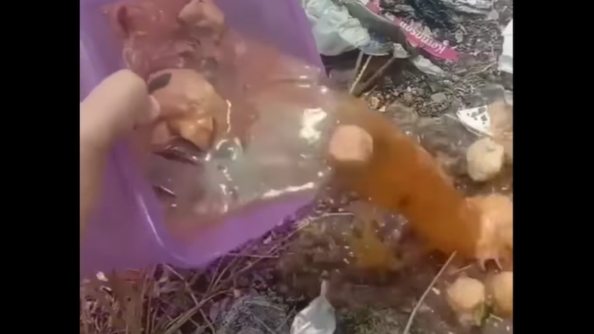 Viral! Gagal Makan Bakso Karena Temukan Kepala Tikus di Dalamnya