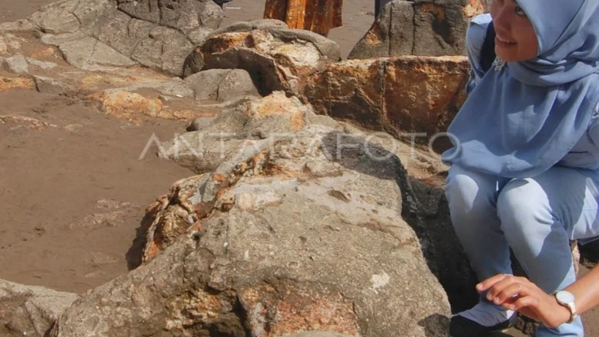 Batu Malin Kundang di Pantai Air Manis Padang [Dok.Antara]
