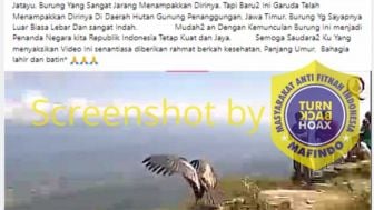 Cek Fakta Heboh Kabar Burung Garuda Muncul di Pegunungan Jawa Timur, Benarkah?