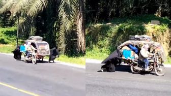 Aksi Ukhti-ukhti Bercadar Dorong Becak Motor di Tanjakan Sumut Viral, Banjir Pujian Warganet