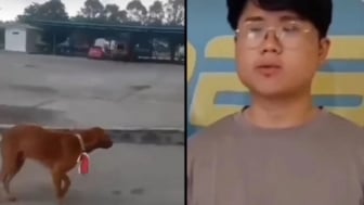 Dalih Rayakan HUT RI, Karyawan Pabrik Kelapa Sawit Pasang Bendera Merah Putih di Anjing