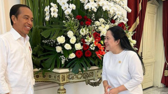 Temui Jokowi di Istana, Puan Maharani: Obrolannya Seru