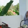 UAS Sebut Rocky Gerung Profesor Akal Sehat, Warganet: Adem Banget Lihatnya