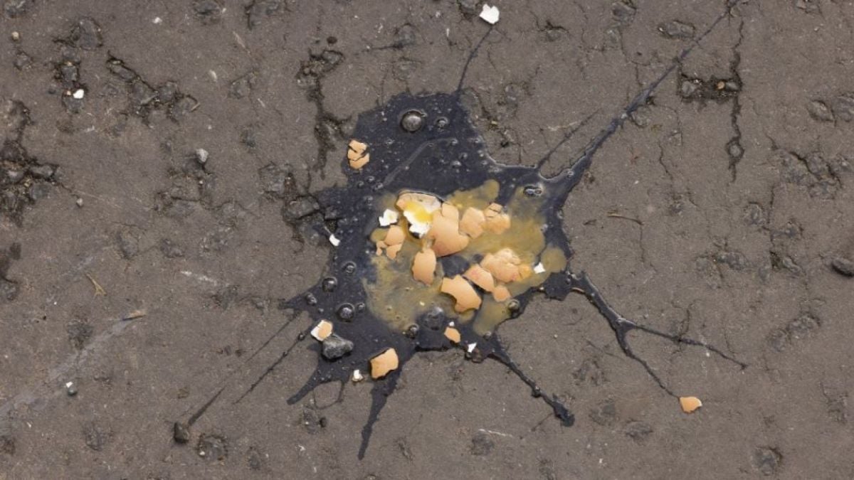 Salah satu telur yang dilempar ke arah Raja Charles III pada Rabu (9/11). (James Glossop / POOL / AFP)