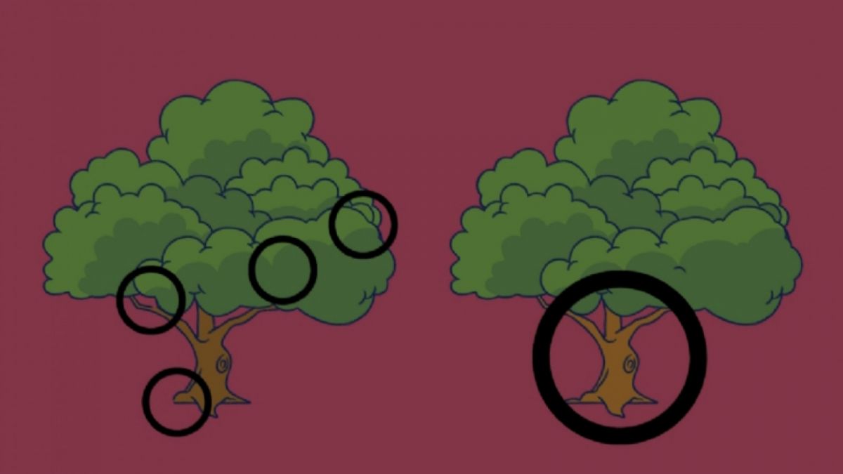 Jawaban tes psikologi di atas. [Tiempox]