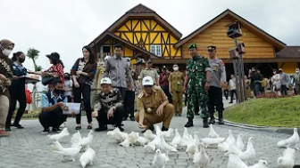 Cepogo Cheese Park Wisata Boyolali yang Viral, Cek Harga Tiket Masuk hingga Wahananya Disini, Murah Banget!