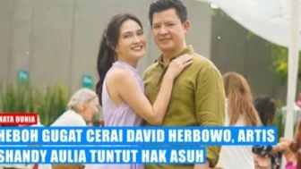 CEK FAKTA: Heboh! Shandy Aulia Gugat Cerai David Herbowo, Tuntut Hak Asuh Putri Semata Wayangnya