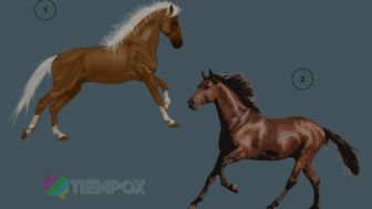 Tes Psikologi: Ingin Tahu seperti Apa Kepribadian Anda Sebenarnya, Cukup Pilih Satu Kuda dalam Gambar