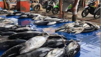 Jatigede akan Segera Miliki Sentra Kuliner Ikan, Bupati Sumedang Sebut Komitmen Pemda untuk Ekonomi dan Lapangan Pekerjaan