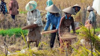 Diguyur Dana Sebanyak Rp25 Miliar, Pemkab Sumedang Kembangkan Intergrated Farming