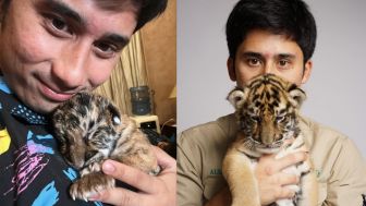 Berduka Kehilangan Cenora, Alshad Ahmad Akui Sudah 7 Ekor Harimau Mati di Bawah Pengawasannya