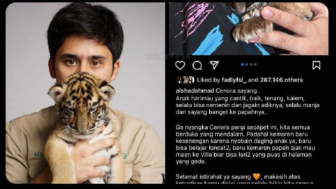 Anak Harimau Alshad Ahmad Mati Lagi, Netizen: ngurus anak sendiri aja kagak becus sok sok urus. . .