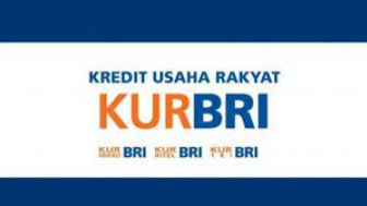 Temukan di Sini Syarat Ajukan KUR BRI Agustus 2023, Menakjubkan Bisa Cair Rp50 Juta, Begini Caranya