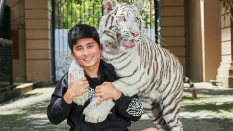 Dirundung Masalah, Alshad Ahmad Disebut Tak Bisa Selesaikan, Begini Penjelasan Psikolog