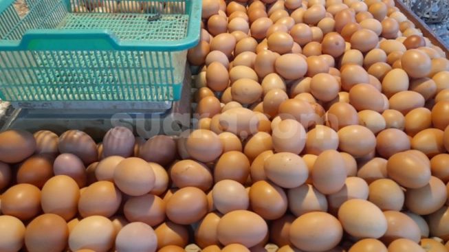 Ini Penyebab Harga Telur Ayam Naik