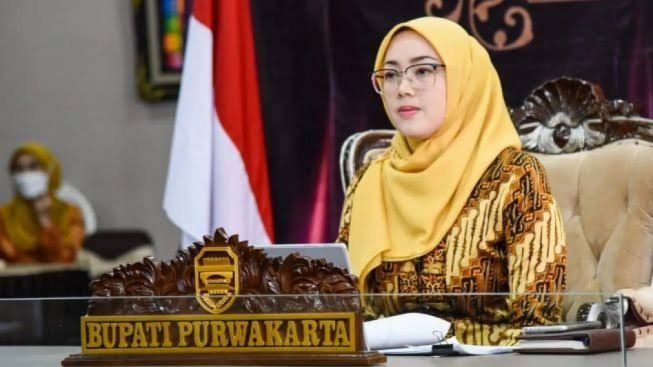 Anne Ratna Gugat Cerai Dedi Mulyadi, Ini Penjelasan PA Purwakarta