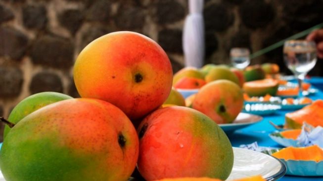 Buah Mangga Gedong Gincu Asli Sumedang Ditaksir Jepang