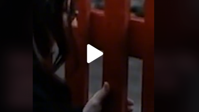Video Viral Erika Labrie di Twitter dan Tiktok Beredar, Wanita Naiki Pagar Merah untuk Kepuasan Seksual