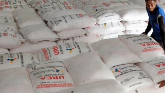 Kuota Pupuk Subsidi 2023 di Sumedang Berkurang, Ini Penyebabnya