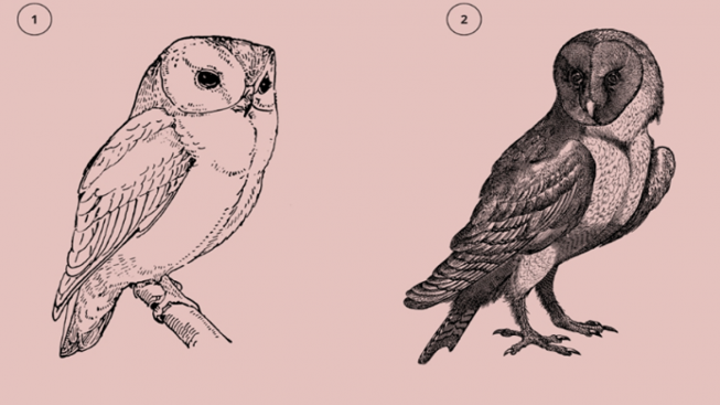 TES KEPRIBADIAN : Burung Hantu Memberi Pesan Soal Bijak dan Tidaknya Anda dalam Menghadapi Masalah, Wajib Dicoba