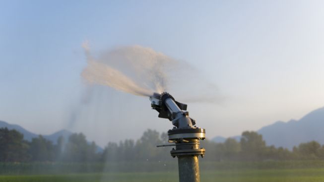 Kisruh Bonek di Sidoarjo, Polisi Bubarkan Aksi dengan Gas Air Mata