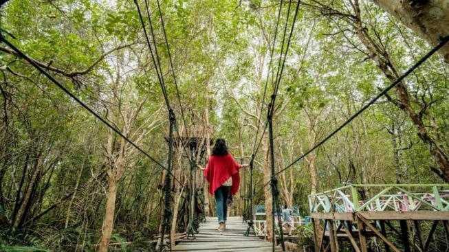 Kebun Raya Mangrove Semakin Diminati Pengunjung, Pemkot Surabaya Berharap Bisa Jadi Wisata Edukasi