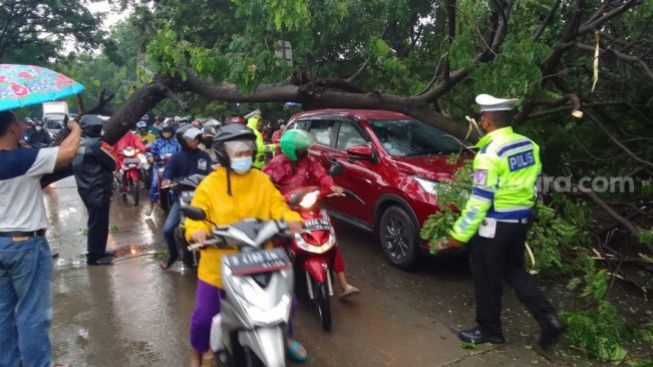 Akibat Hujan Deras, Mobil Xenia Merah TertimpaPohon Tumbang di Cengkareng