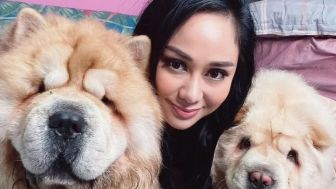 Denise Chariesta Berkoar Bahas Sosok Mbak Bulan, Ancam Ungkap Boroknya, Warganet: Gini Nih Kalo Cuan Menipis Udah Ga Dipelihara