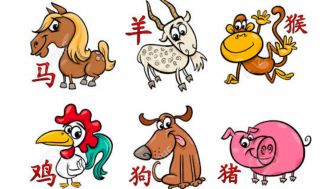 Peruntungan Astrologi China Besok, 22 November 2022, Ramalan Harian Shio Kuda, Kambing, Monyet, Ayam, Anjing dan Babi