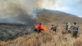 Kebakaran Lahan Bromo Meluas dan Denda ke Pelaku Masih Kurang