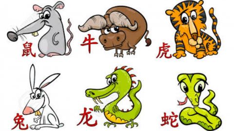 Peruntungan Astrologi China 14 Desember 2022, Ramalan Harian Shio Tikus, Kerbau, Macan, Kelinci, Naga, dan Ular