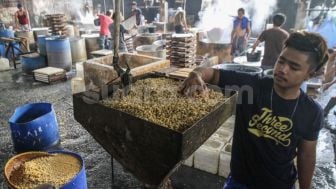 Pemerintah Ingin Kacang Koro Jadi  Pengganti Kedelai Untuk Produk Tempe