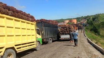 KBRI Jepang Fasilitasi Ekspor Komoditas Cangkang Kelapa Sawit Indonesia