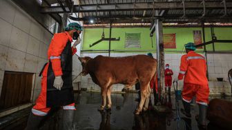 Satgas Pemeriksa Hewan Kurban di Bandung Mulai Diterjunkan