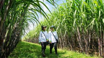 Petani Milenial Diminta Jangan Mau Kalah Dengan Petani Kolonial