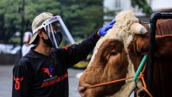 Jangan Satukan Daging dan Jeroan Hewan Kurban dalam Satu Wadah