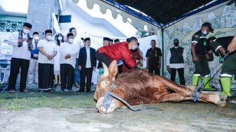 Pemkot Bandung Siapkan Tim Pemeriksa Daging dan Jeroan Selain Terbar 145 Hewan Kurban