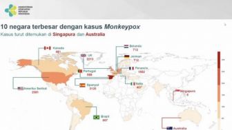 Kemenkes Pastikan Belum Ada Kasus Cacar Monyet di Indonesia