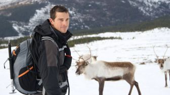 Saat Pria Vegan Bernama Bear Grylls Anti Sayuran