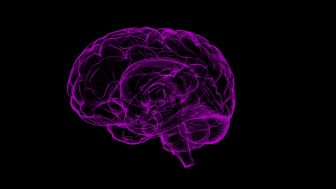 Sakit Kepala Lama Bisa Jadi Indikasi Tumor Otak, Segera Cek ke Dokter