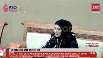 Kompor Listrik Tidak Bisa Buat Masak Hajatan! Mulan Jameela Wakili Emak-emak di DPR