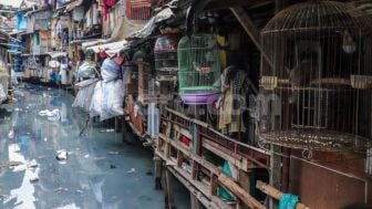 Jadi Percontohan Penanggulangan Kemiskinan, Program Padat Karya Pemkot Surabaya