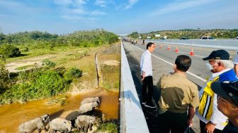 Jokowi Perintahkan Pembangunan Infrastruktur harus Ramah Lingkungan