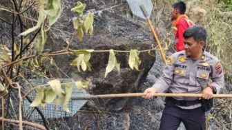 Mendagri Perintahkan Kepala Daerah Siaga Hadapi Kebakaran Hutan