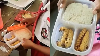 Viral Bocah SD Diledek Guru gegara Bawa Bekal Ulat Sagu, Ternyata Manfaatnya Gak Main-Main