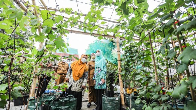 Bermain di Tanaman Anggur Kelurahan Sukawarna